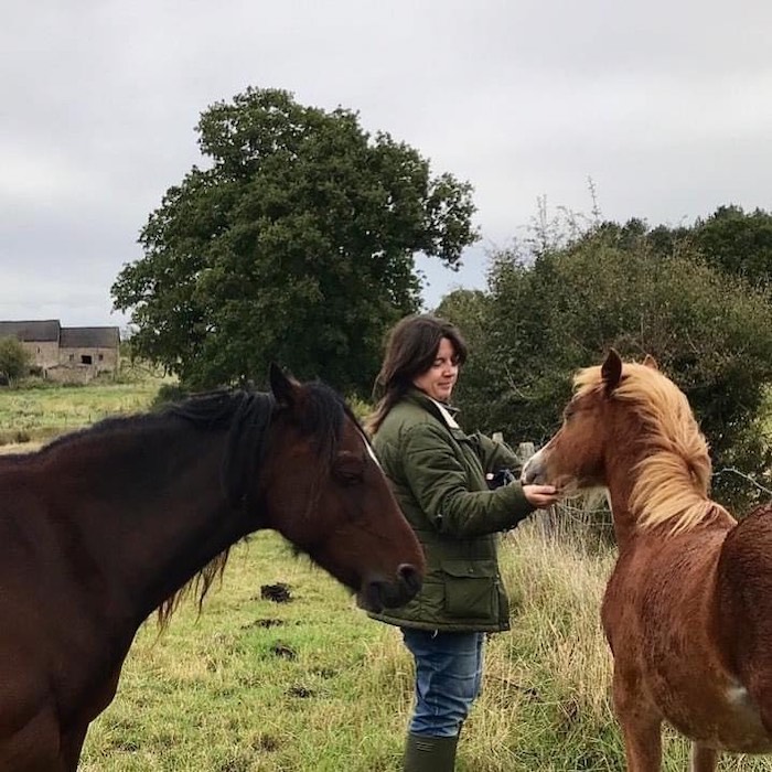 Mindful Animal Healing 