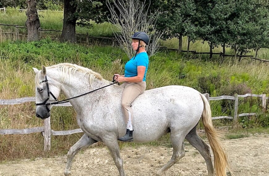 The Liberating Power of Riding a Horse Bitless