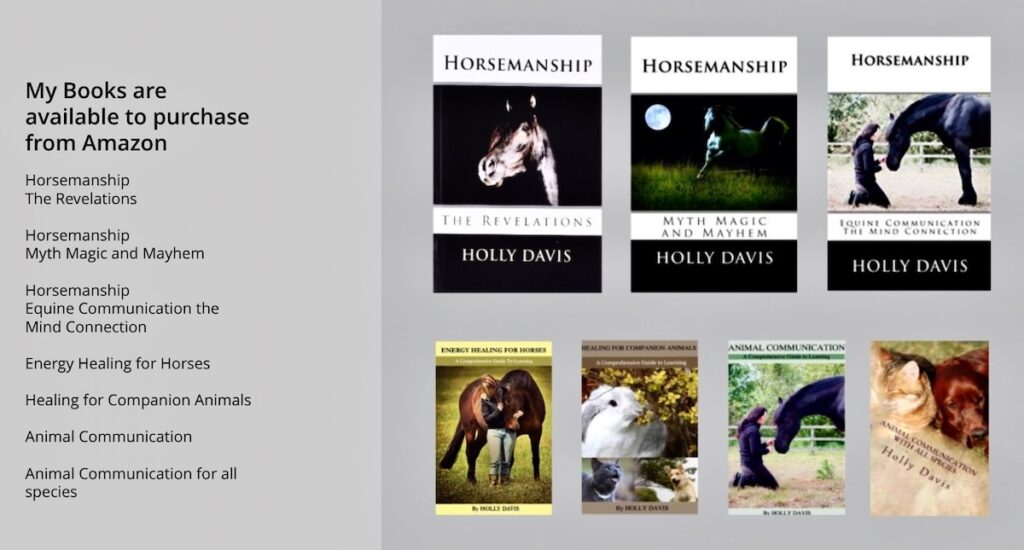 Holly Davis books