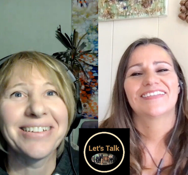 The Art of Equine Alchemy with Amber Lydic